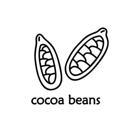 Contour cocoa bean icon. Black and white logo. Hand drawn vector image. Doodle illustration for food, product design. Cartoon isolated fruit on white background. Line art elementsのイラスト素材