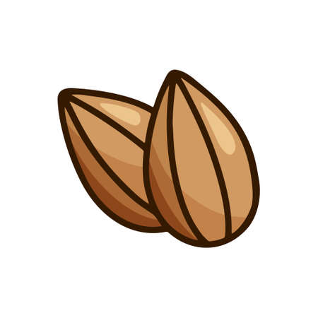 Almond icon. Color hand drawn emblem of two brown nuts. Cartoon clipart for label design of natural organic products. Symbol of healthy snack. Doodle isolated vector illustration on white backgroundのイラスト素材