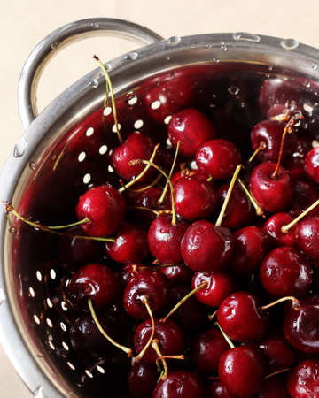 Sweet cherries in metal colander with water drops. Washed garden juicy berries. Life photo, natural concept. Summer harvest. Hard sunlight trend, dark shadow, vertical imageの写真素材