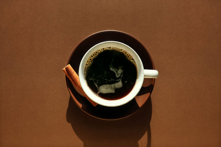 Spicy black coffee concept. Ceramic cup, saucer, cinnamon on chocolate brown background. Monochrome horizontal poster for cafe, menu. Aroma morning drink, espresso. Hard light, dark shadow, flat layの写真素材