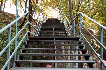 Ladder in park. Wooden steps going up among trees. Climbing stairs in fresh air, early autumnの写真素材
