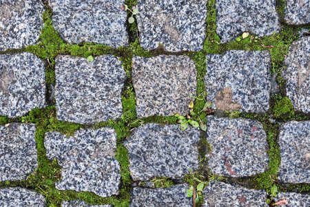 Stone pavement with green moss and grass. Part of paved path in park. Horizontal background, banner, poster. Template for eco orgainic design. Urban nature, sunlightの写真素材