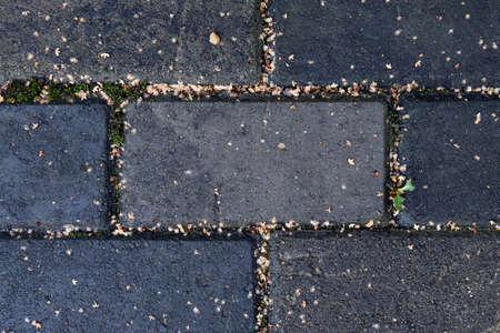 Rectangular stone pavement with dry birch flakes. Dark blue, gray colors. Part of paved path in park. Horizontal background, banner, poster. Template for eco orgainic design. Urban natureの写真素材
