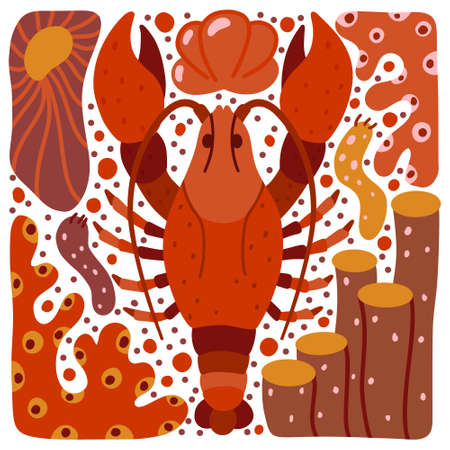 Lobster hand drawn illustration. Square cartoon poster of red ocean animal with sea plant, coral, shell. Stylized crayfish with elements set. Childish t shirt print, cover design. Flat isolated vectorのイラスト素材