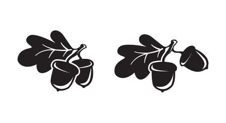 Twig with two acorns and leaf. Silhouette of oak sprig. Black hand drawn vector on white background. Simple botanical illustration, isolated elementのイラスト素材