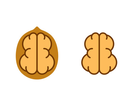 Whole walnut in nutshell, color icon. food packaging design. Flat isolated illustration on white...