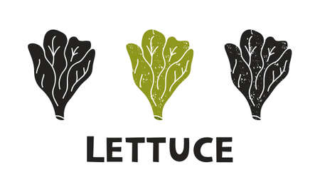 Lettuce, silhouette icons set with lettering. Imitation of stamp, print with scuffs. Simple black shape and color vector illustration. Hand drawn isolated elements on white backgroundのイラスト素材