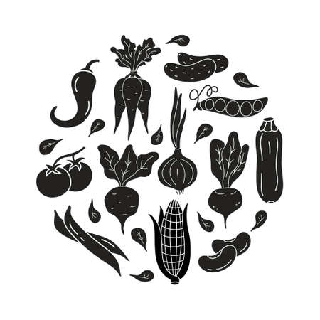 Round food illustration with isolated vegetables. Carrot, beet, onion, corn, leaves, tomato, beans. Black silhouette elements on white background. Vector hand drawn print, posterのイラスト素材