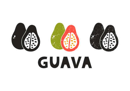 Guava, silhouette icons set with lettering. Imitation of stamp, print with scuffs. Simple black shape and color vector illustration. Hand drawn isolated elements on white backgroundのイラスト素材