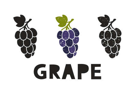 Grape, silhouette icons set with lettering. Imitation of stamp, print with scuffs. Simple black shape and color vector illustration. Hand drawn isolated elements on white backgroundのイラスト素材