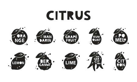 Citrus, silhouette stickers set. Orange, tangerine, grapefruit, kumquat, citron, pomelo, lemon, lime, bergamot. Black hand drawn icons with lettering inside and abstract spotsのイラスト素材