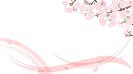 Japanese-style vector illustration of three-dimensional gradation cherry blossoms and pink brushstrokes on a white background. Horizontal type.のイラスト素材