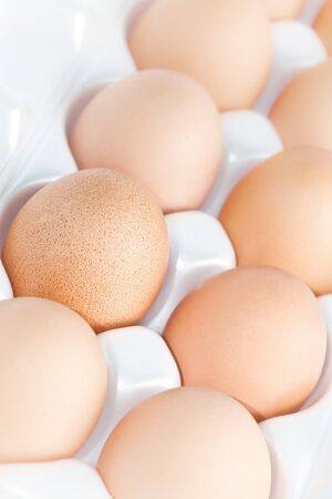 Eggsの写真素材