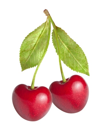 Cherry on white backgroundの写真素材