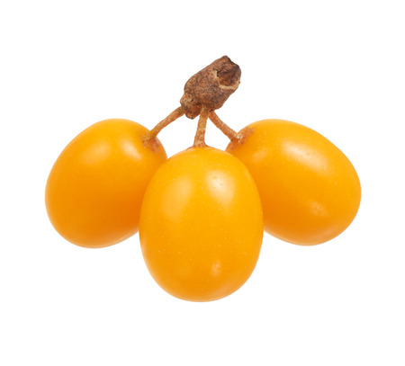 Sea buckthorn berries on a white backgroundの写真素材