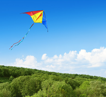 Kite flying in the sky over the forestの写真素材