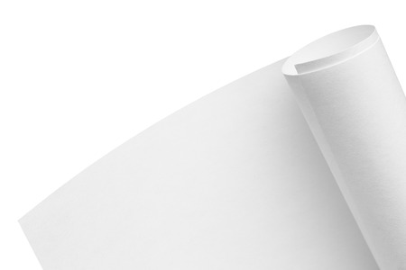 Roll of blank paper on a white backgroundの写真素材