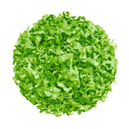 Fresh lettuce sliced on a white の写真素材