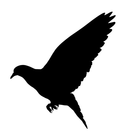 Silhouette of a flying dove on a white background, vector illustrationのイラスト素材