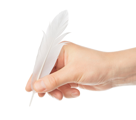 Hand writes something a bird's feather on white backgroundの写真素材