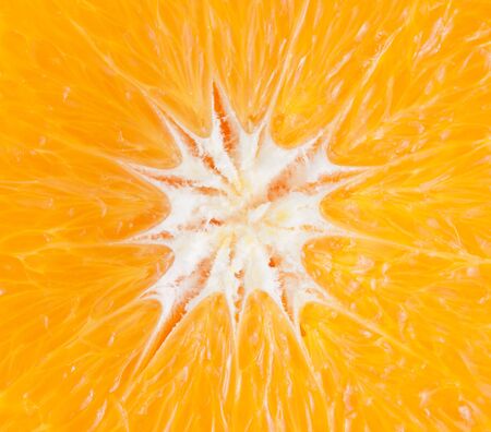 orange close-upの写真素材