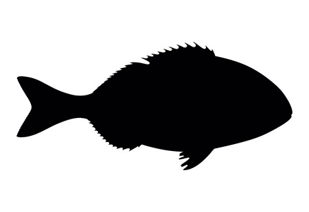 silhouette dorado fish on white background, vector illustrationのイラスト素材