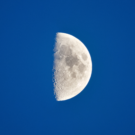 Moon close-up in the evening skyの写真素材