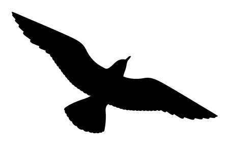 Seagull silhouette on white background, vector illustrationのイラスト素材