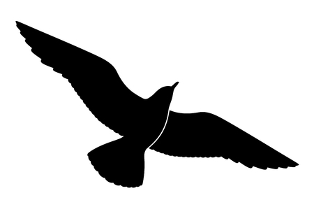 Seagull silhouette on white background, vector illustrationのイラスト素材