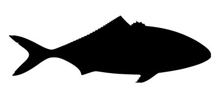 Silhouette of tuna fish on white background. Vector illustration.のイラスト素材