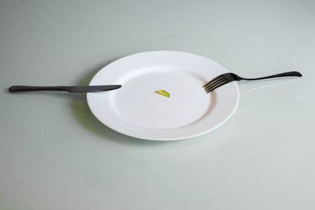 A small piece of food lies on a large plate.