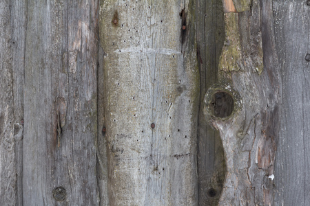 Vintage wooden texture. Background. Close upの写真素材