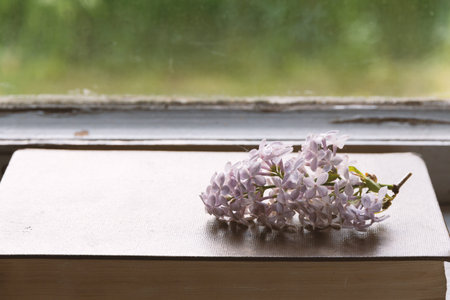 lilac on a closed book by the windowの写真素材