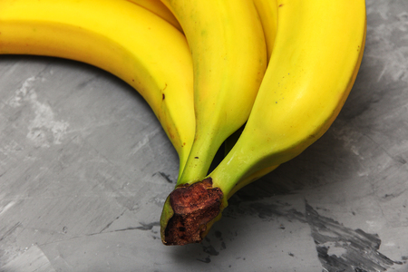 a branch of ripe yellow bananas on a gray concrete backdropsの写真素材