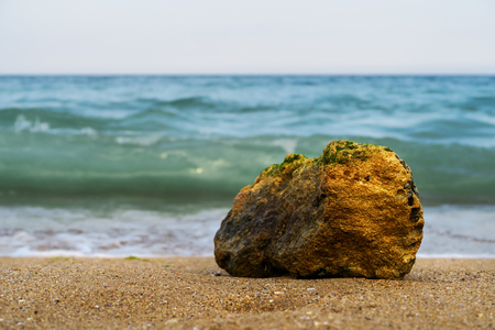 bright stone covered with seaweed on the ocean shoreの写真素材