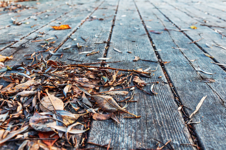 autumn leaves on old wooden boards. old boardwalkの写真素材