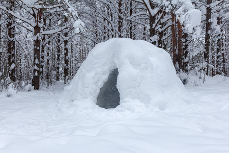 construction of snow shelter for survival in the winter forest in the coldの写真素材
