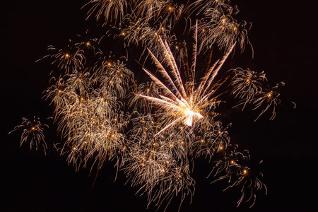 Fireworks in the dark night sky. Pyrotechnics during the celebration of the wedding. abstract bright...