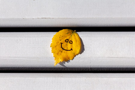 Yellow autumn leaf with painted smile and eyes on a white wooden bench. Natural concept