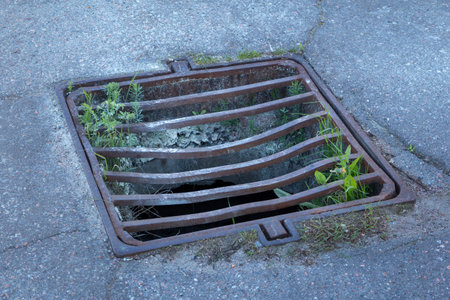 An old curved drainage grate of a sewer with growing grass on a city street. Close-up