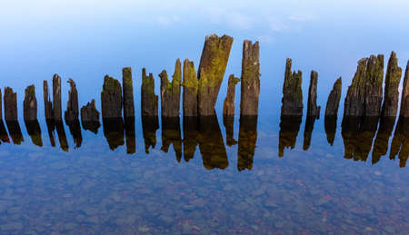 A vertical row of old wooden planks in the water near the shore to protect the shore from the waves. Minimalistic landscapeの写真素材