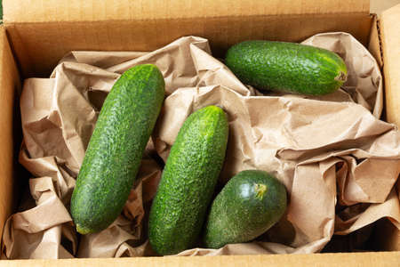 Green cucumbers in a cardboard box with wrapping paperの写真素材