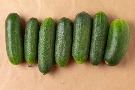 Row of ripe green cucumbers on brown wrapping paperの写真素材
