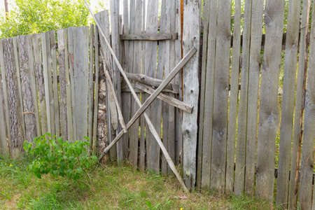 Abandoned green garden with an old wooden fence and a boarded-up gateの写真素材