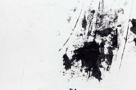 A smear of black paint on white plaster. Abstract blot on light uneven wallの写真素材