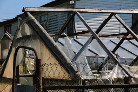 Old wooden greenhouse with torn plastic wrap. abandoned villagesの写真素材