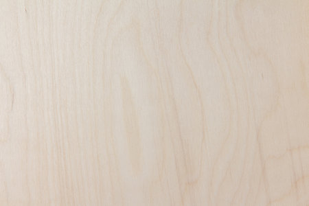 Texture of sanded light plywood. Fragment of a plywood shieldの写真素材