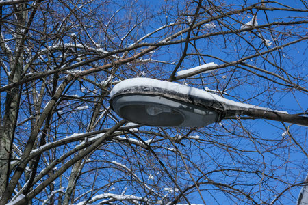 Street lamp with an outdated light bulb against the background of branches and blue skyの写真素材