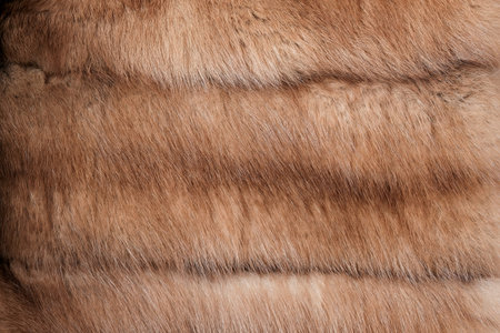 Texture of natural marten fur, luxury outerwear for women, soft fluffy surface of women's winter fur...