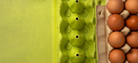 Full and empty packaging for chicken eggs with space for text on the left side. View from above